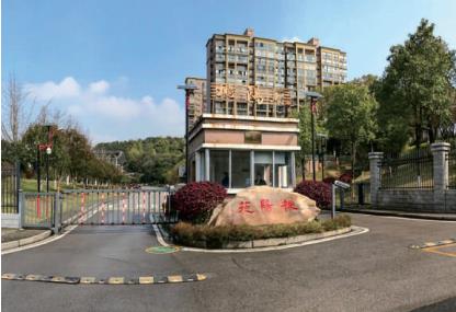 桃阳小区“小区智能化”项目